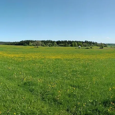Wiegert * Freudenstadt